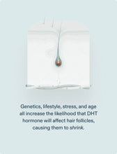 Load image into Gallery viewer, Nutrafol DHT Inhibitor MD – Advanced Hair Thinning Support
